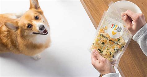 The price of this special food is outrageous. Healthy Dog Food: These Brands Use Real Ingredients ...