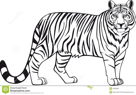 Dibujo De Tigre Para Colorear
