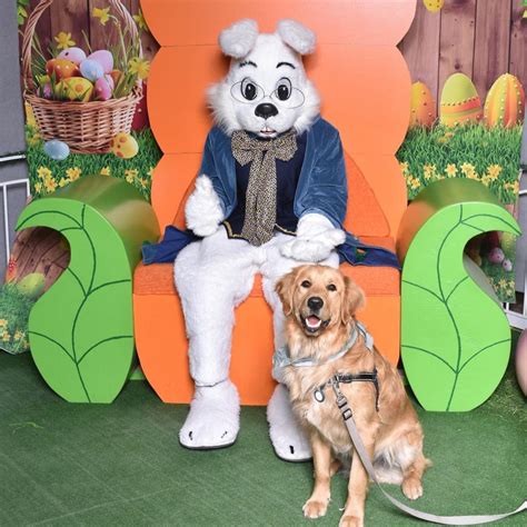 Easter Bunny Hours Champlain Centre