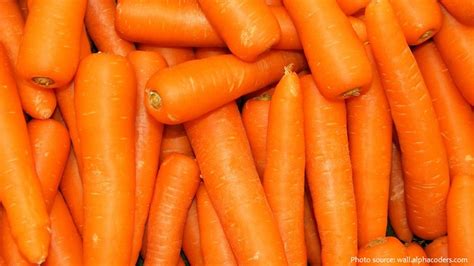 Interesting Facts About Carrots Just Fun Facts