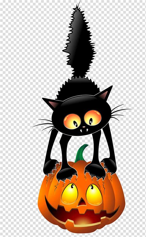 Free Download Black Cat On Jack O Lantern Illustration Black Cat