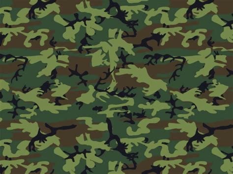 Camouflage Graphic Backgrounds For Powerpoint Templates Ppt Backgrounds