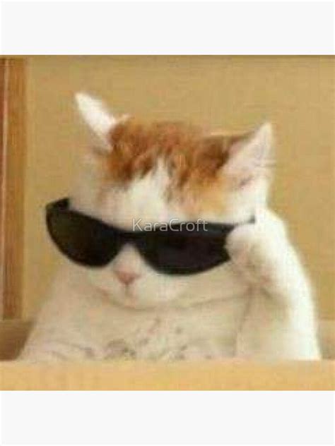 Cool Cat Sunglasses Meme Sticker By Karacroft Sunglasses Meme Cool Cats Cat Sunglasses
