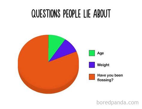 questions people lie about funny charts funny quotes funny relatable memes