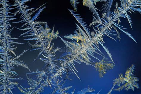 Ice Crystals Macro Stock Image Image Of Window Slice 35006231