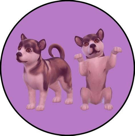 Sims4Pose: Adopt Bailey | Sims 4 pets, Adoption, Puppy pose