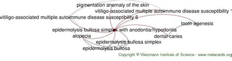 Epidermolysis Bullosa Simplex With Anodontiahypodontia Disease