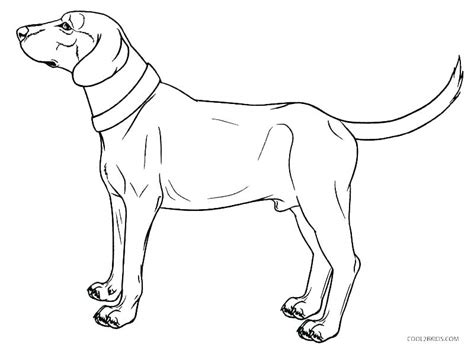 Bring a dog to life with your creativity. Schnauzer Coloring Page at GetColorings.com | Free ...