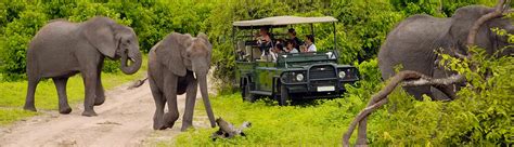 Best Botswana Safari Tours Namibia Tours And Safaris