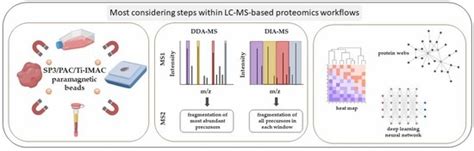 Cancers Free Full Text Mass Spectrometry Based Proteomics Workflows