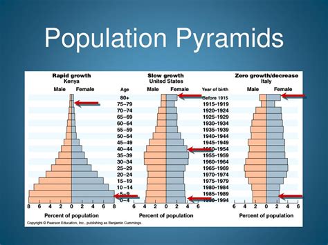 Ppt Understanding Population Pyramids Powerpoint Presentation Free