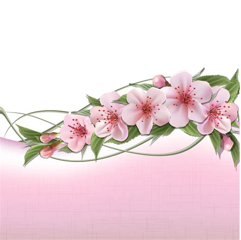 Download Весенние баннеры с цветами / Set of spring banners with Flowers in vector » Векторные клипарты ...