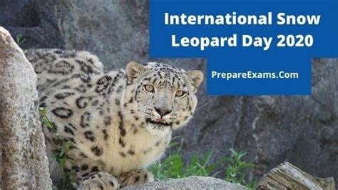 International Snow Leopard Day 2020 Prepareexams