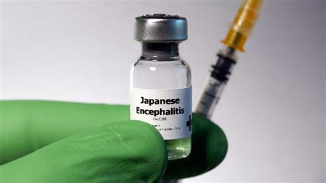 Japanese Encephalitis Vaccine Burlington Travel Clinic