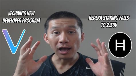 Vechain new developer program. Is this what we've been waiting for