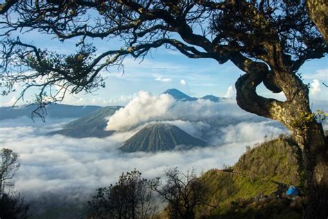 Things To Prepare Before Enjoying The Mount Bromo Ijen Crater Tour Ijen Crater Ijen Blue Fire