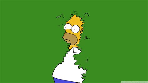 Simpson Homer Hd Wallpaper Background Image 1920x1080 Id921846