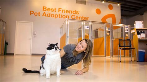 Click on the adoption center closest to you to view animals available for adoption and learn more about our adoption philosophy, process and we consider our adopters to be a part of the mspca family; After hours at the Pet Adoption Center - YouTube