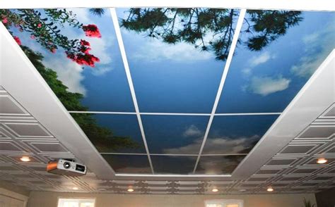 I thought one side would have a hinge and the other side would drop down, allowing you to get to the bulbs. Sky Ceiling Murals - Highest Quality by | Decorative ...