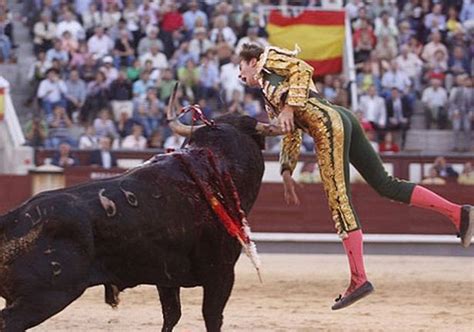 Horror As Matador Gets Gored By Bull And Now Fights For Life Plus