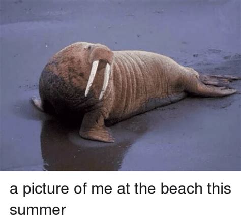 20 Relatable Beach Memes For The Summer