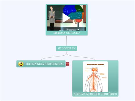 Sistema Nervioso Mind Map