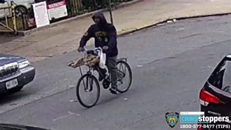 Mugger Chases Attacks 65 Year Old Woman In Brooklyn