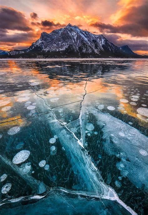 Ice Bubbles In Abraham Lake In The Canadian Rockies By Artur Stanisz