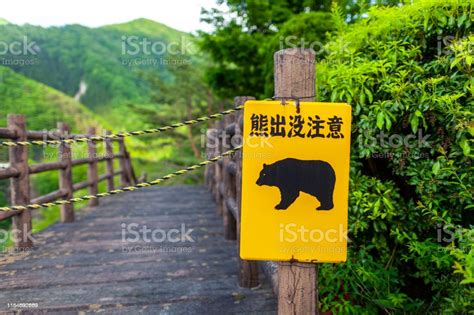 An Image Of Bearwarning Sign Stock Photo Download Image Now Istock
