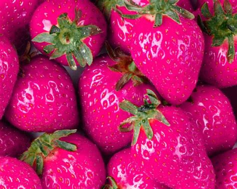 Passionately Pink Strawberries Pretty In Pink Pink Hot Pink