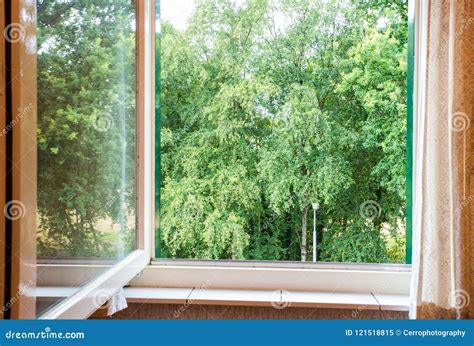 Nature Landscape With A View Through A Window With Green Trees Stock