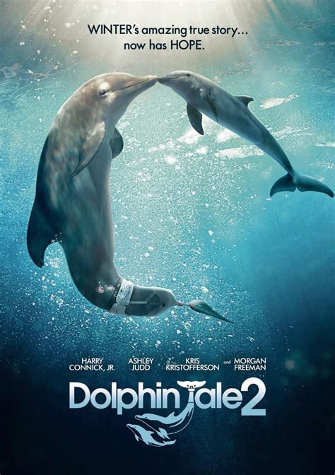 Inside The Wendy House Dolphin Tale 2 Film Review