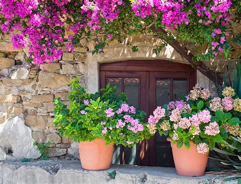 Mediterranean Garden Ideas How To Create One What You Need To Know