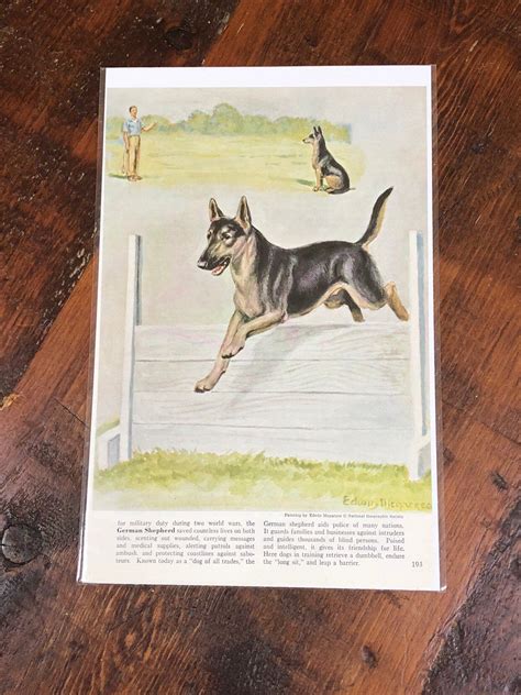 German Shepherd Dog Print Dog Print Vintage Etsy Dog Print German