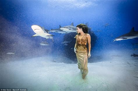 Karina Olianis Underwater Fashion Shoot In Bahamas With Sharks To
