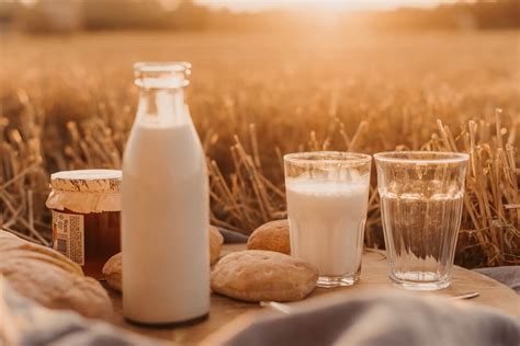 Sind Milchprodukte wichtig für eine gesunde Ernährung Jacqueline