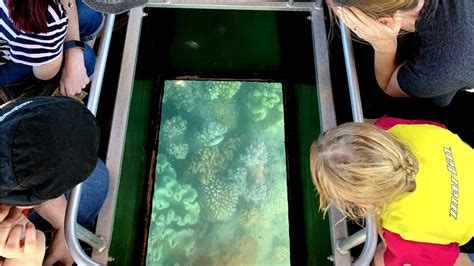 Airlie Beach Glass Bottom Boat Tour Discover Local Coral Reefs