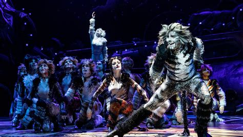 Get a behind the scenes look into how cat & nat came to be; 'Cats': Theater Review | Hollywood Reporter