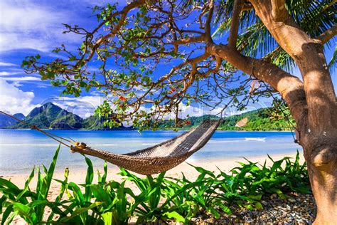 Perfect Tropical Holidays Relaxing In Stock Image Colourbox