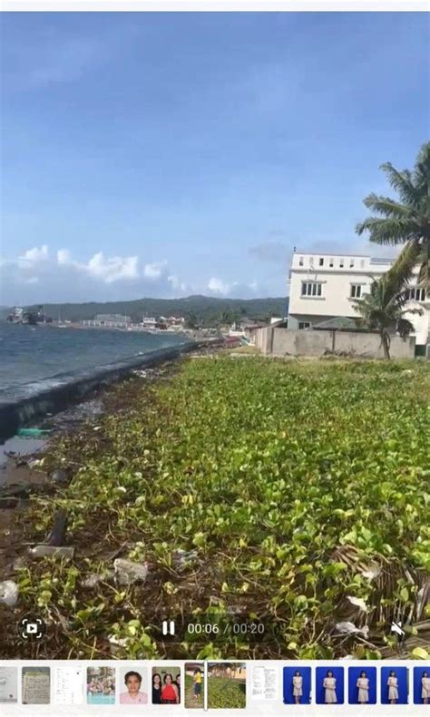 Beach Property For Sale Mabini Batangas 🏖️ 179 Properties May 2024