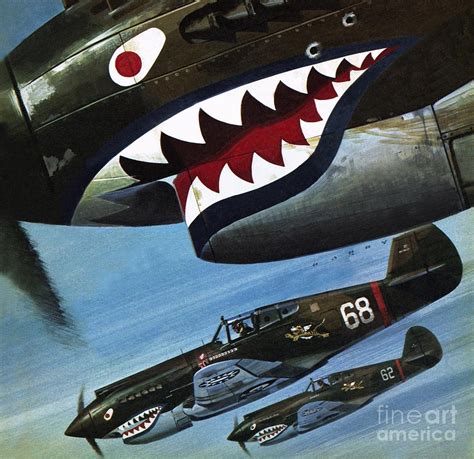 Flying Tigers Over Asia Painting By Wilf Hardy