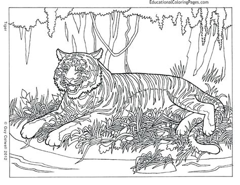 Complex Animal Coloring Pages At Free Printable Colorings Pages To Print And