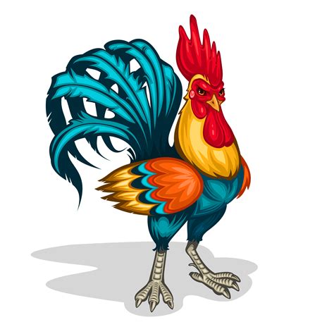 Vector Illustration Of A Rooster Download Free Vector