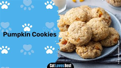 Homemade Pumpkin Cat Treats A Delicious And Nutritious Recipe