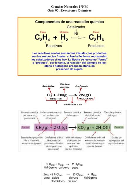1°nm Nivelación Guía 05 Reacciones Químicas Pdf Reacciones Químicas
