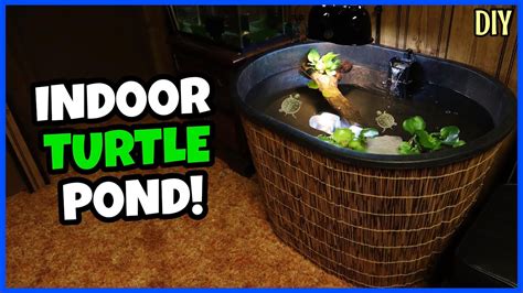 Maybe you would like to learn more about one of these? DIY Indoor Turtle Pond Setup! - YouTube