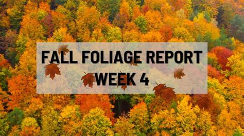 Fall Foliage Report Week 4 News10 Abc