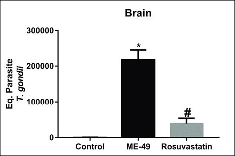 Parasite Load In The Brain Of Mice Infected With The Toxoplasma Gondii