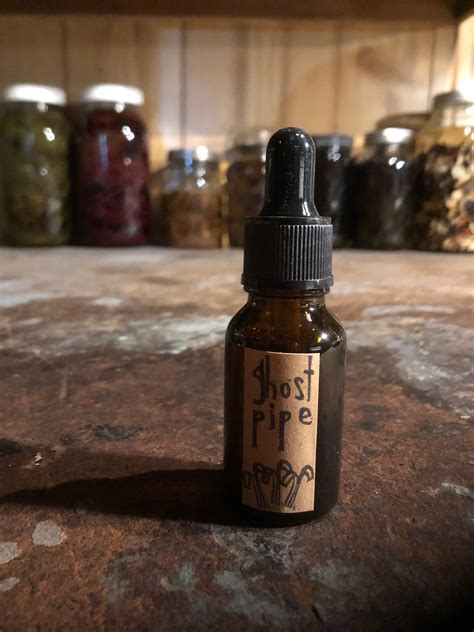 Ghost Pipe Tincture Wild Foraged Read Full Description Etsy