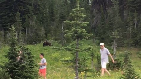 Grizzly Bear Sighting Mt Revelstoke Aug 21st 2016 Youtube